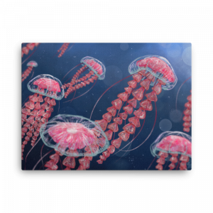 Pink Jellyfish