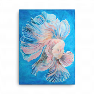 Betta Fish