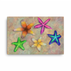 Floral Starfish